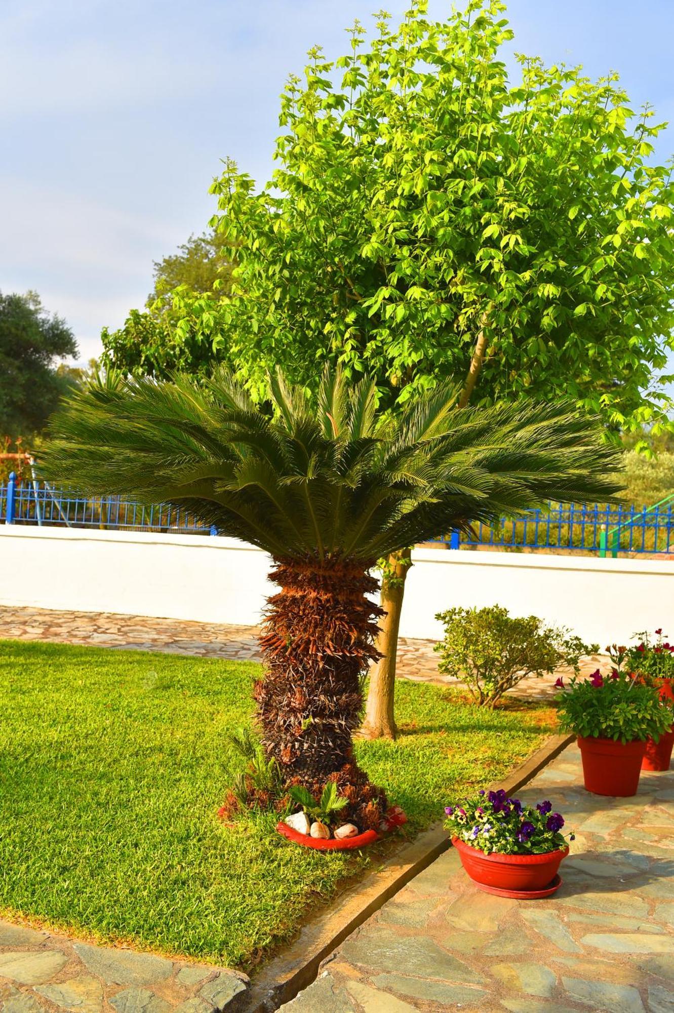 Villa Elpida Kanali  Dış mekan fotoğraf